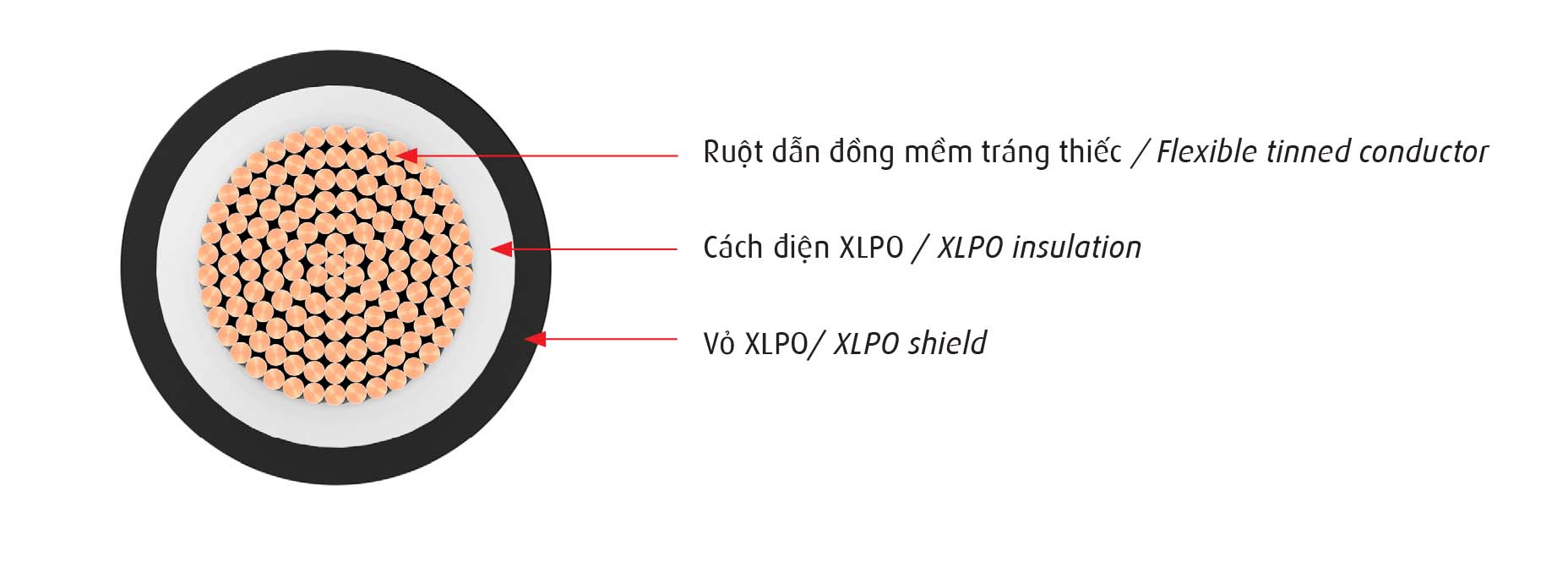 Cap_nang_luong_mat_troi-1
