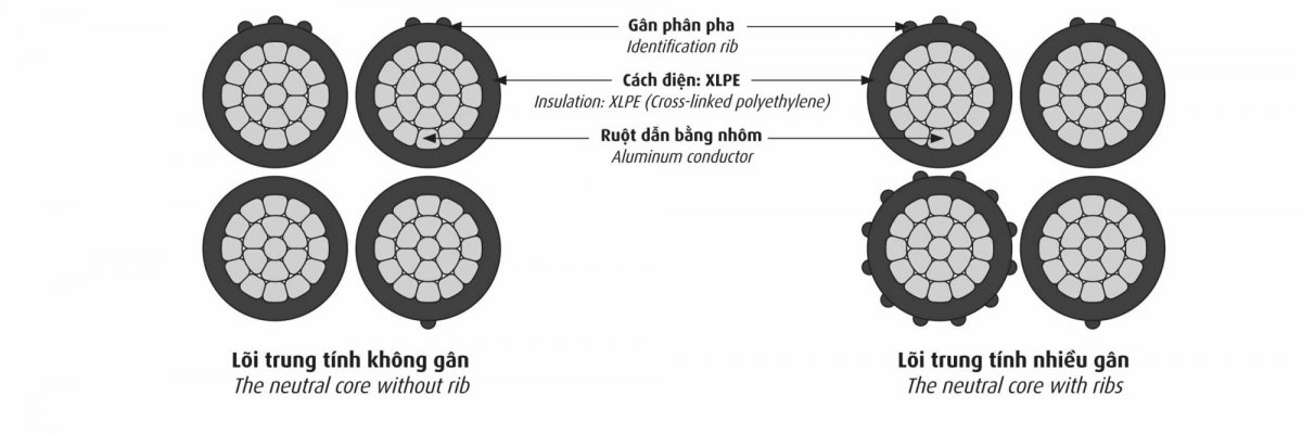 CADIVI_18_LV_ABC_Brochure_2pp_print-1