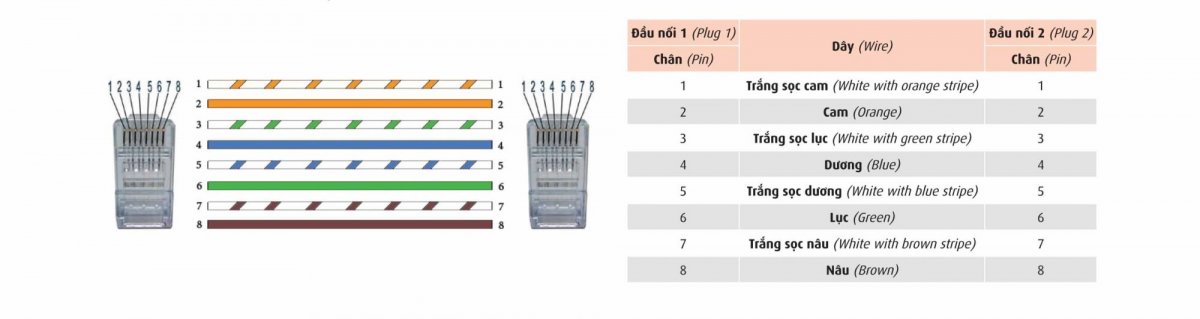 CADIVI_87_Patch_Cord_CAT5E_Brochure_2pp_150930_Print-2